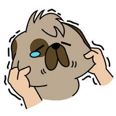 家族犬ダムジョークを愛し