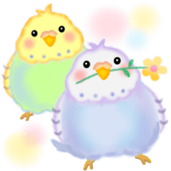 仲良しインコさん