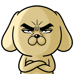 目ヂカラ☆わんこ