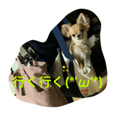 ハピネスハピネスハピネス