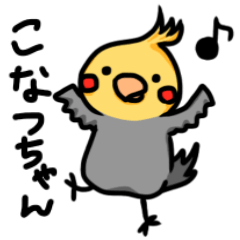 オカメインコのこなつちゃん2