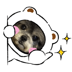 モニカとチョコ②