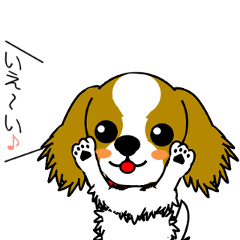 動く！キャバリアの日常