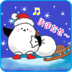 十勝ほんわかシマエナガ～冬