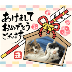 次元とkeiと時々くぅ2021 HAPPY NEW YEAR