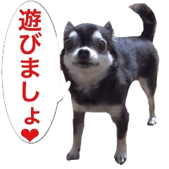 サンキューおっさんとゆかいな仲間達 7