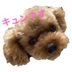 メタタンスタンプ