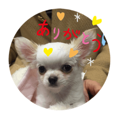 ミルスタンプ⁉️