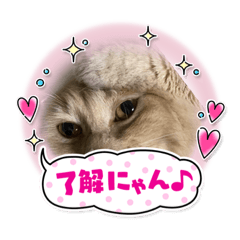 あとら＆よんスタンプ