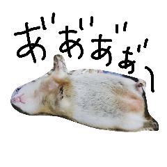 ゆるゆるリチャードソンジリスタンプ♪