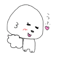 ビションフリーゼ みーちゃんの日常