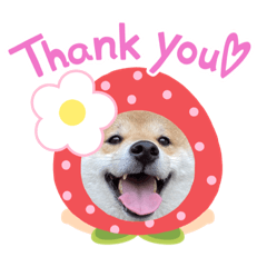 hoshino_20210524212309