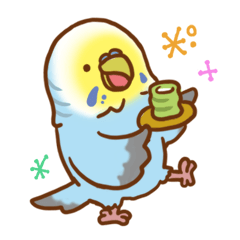 セキセイフレンズ