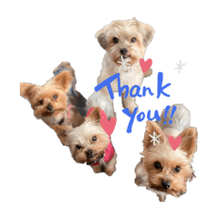 くうちゃんと愉快な仲間