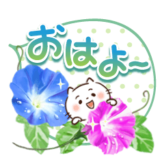 ほんわかさん【夏・毎日使いやすい】25