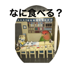 鳥、犬、猫スタンプ