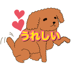 りょうのトイプーたん♡