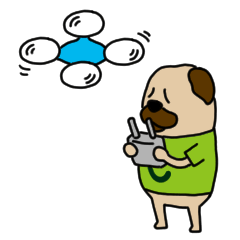 ドローン×犬