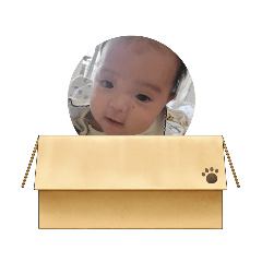 やまおとりとはな