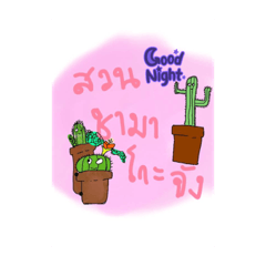 Chama_20220206180429