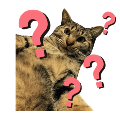 むーたんのスタンプ