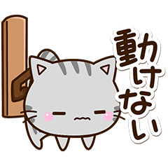 毎日元気な✨ちびアメ