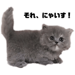 ほこりが行く！２