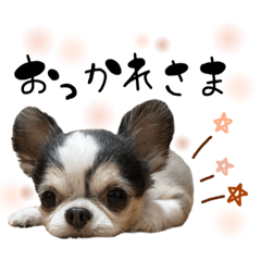 ♡トニさん２♡