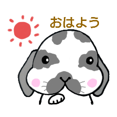 たれ耳うさぎRuRu