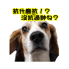 Aaaaa_20230222203227