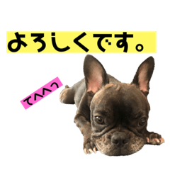 うちんとこのキアラさんPart3