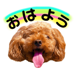 ういさんの日常