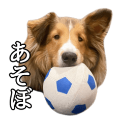 かわいいつくね