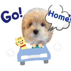 まるぷーのむぎちゃん　帰るコール