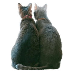 ぐりぐら兄弟の日常