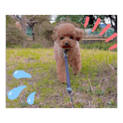 「からあげ」動画バージョン