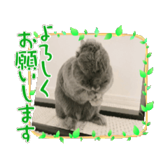 ウサギのスタンプ(ネザーブルー)