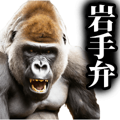 岩手弁☆ゴリラ