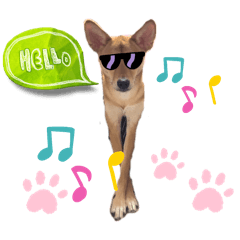 柴擬き＊kuu vol.1