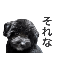 クロエの日常会話