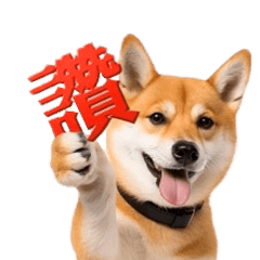 動く！リアル豆柴の日常（繁体字）