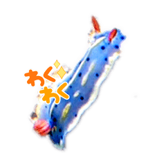 ぴちくさぴちお　お魚集2