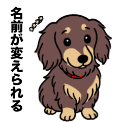 名前入りダックスロングチョコイエロー