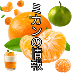 ビッグ！みかんの情報