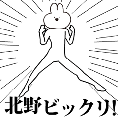 キモ動く北野うさぎ！