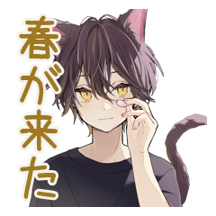 黒猫系男子の春な日常