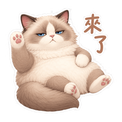 Tsundere Cat Boss Daily