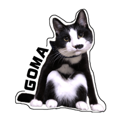 愉快なごまくんスタンプ