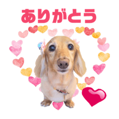 うちの子スタンプ☆ララちゃん☆