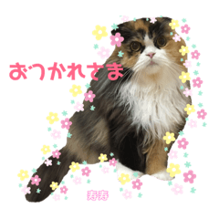 寿寿と福の毎日使えるスタンプ